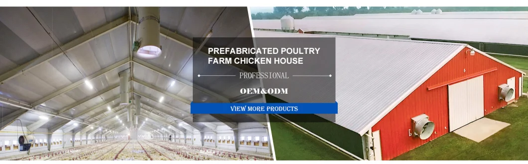 Prefabricated Steel Frame Construction Structure Poultry Farm Broiler Prefab Chicken House with Full Set Poultry Equipment for Chicken Factory
