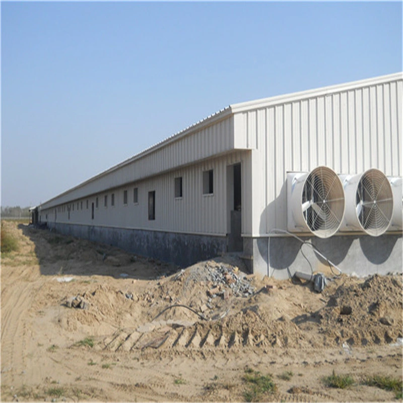 One-Stop Steel Structure Poultry Chicken House