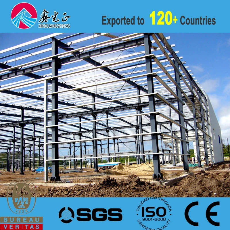 Professional Manufacturer Economical SGS BV CE Prefabricated Steel Structure Warehouse (SS-11)