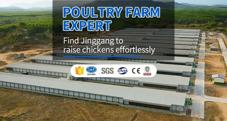 Galvanized/Painted Metal Frame PU/Rockwool/EPS Foam Sandwich Panel Poultry Farm Steel Structure Shed Chicken House for Broiler/Breeder/Egg/Layer Hens