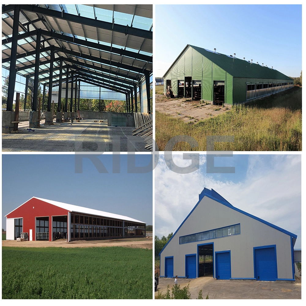 Prefabricated Low Cost Portal Frame Steel Structure Poultry Shed Chicken Farm Building House for 10000 Chickens