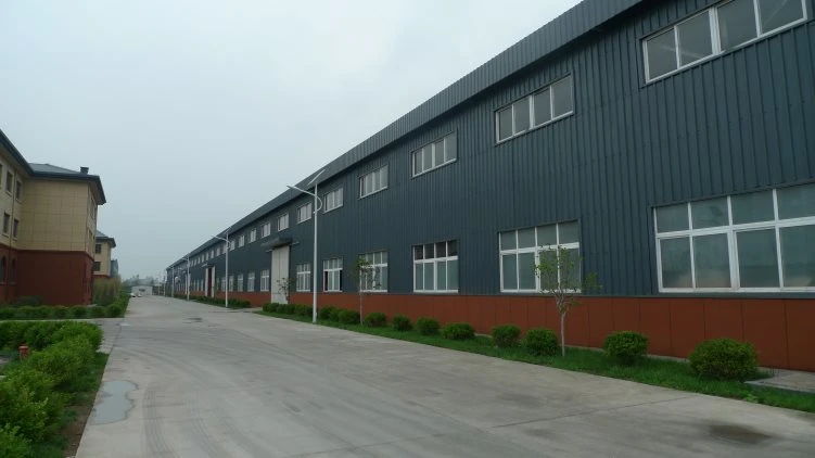 Supply Galvanized Steel Structure Prefabricated Steel Building/Workshop/Hanger/Warehouse