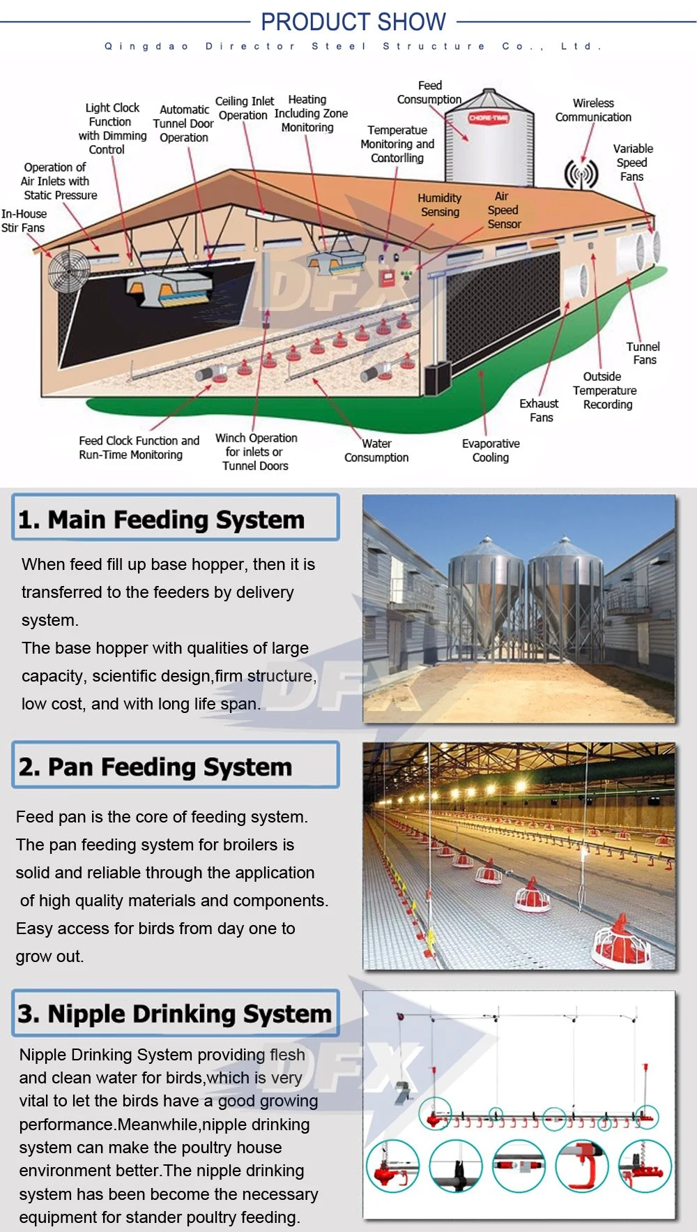 Modern Layout Design Steel Structure Layer Egg Chicken Cage Broiler Poultry Farm House