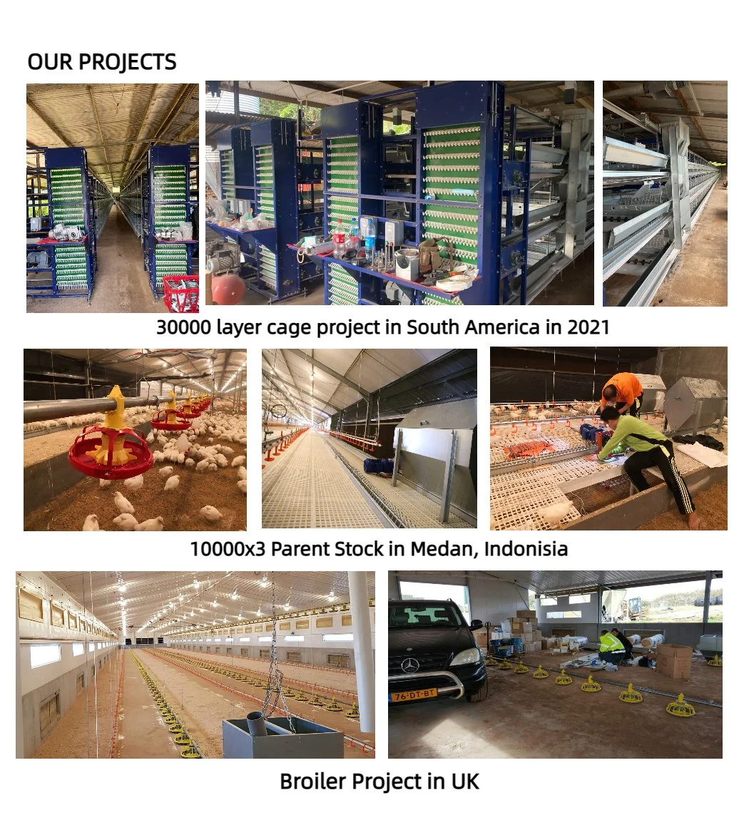 Prefab Steel Structure Tunnel Ventilated Poultry House Poultry Farm House Design