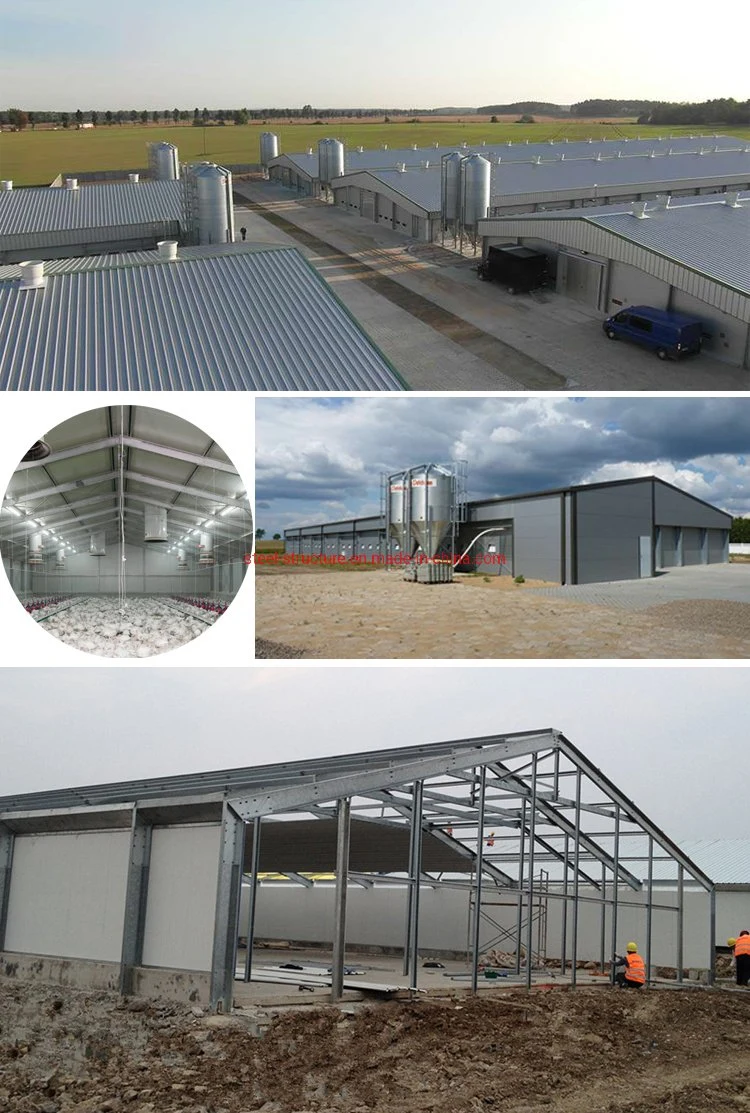 Popular Galvanized Prefabricated Customized China Steel Structure Project Poultry Farms Chicken Coop House with Low Price